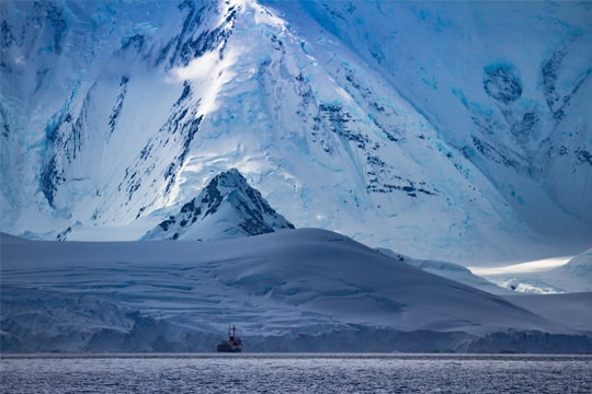 Pequeño molusco se convierte en posible candidato para colonizar la Antártica
