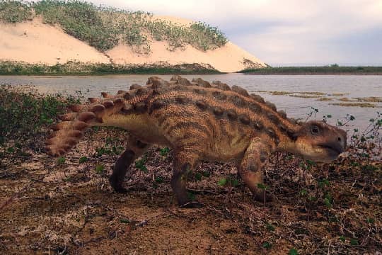 Stegouros elengassen: Chilenos descubren nueva especie de dinosaurio con una extraña cola armada