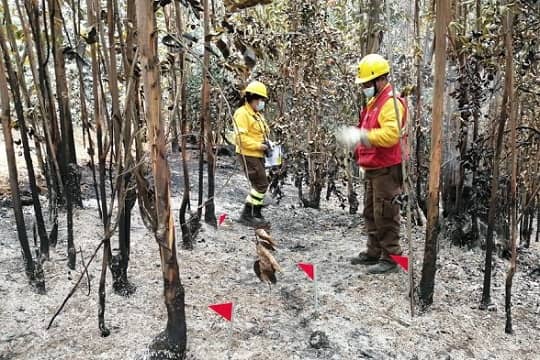 Conaf fortalece grupo de expertos en investigación de causas de incendios forestales