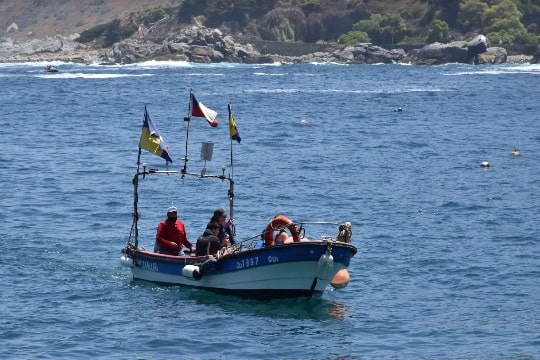 Realizan primera consulta ciudadana sobre la salud del océano en Chile