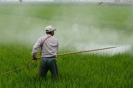 ODECU llama a afectados por herbicida Roundup a unirse a demanda colectiva compensatoria
