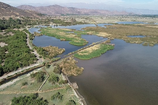 Fundación San Carlos de Maipo amplía protección del Santuario Laguna Batuco