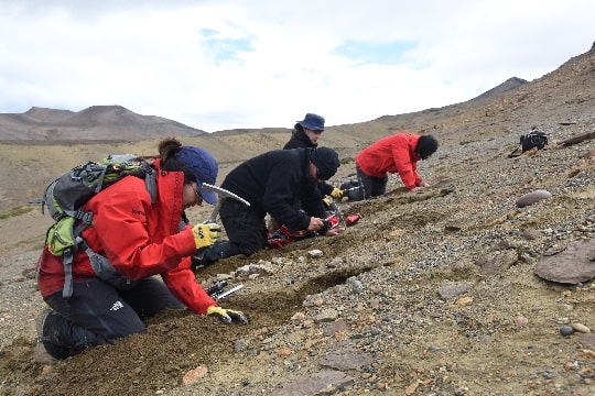 Expedición en Cerro Guido obtiene nuevos registros de dinosaurios