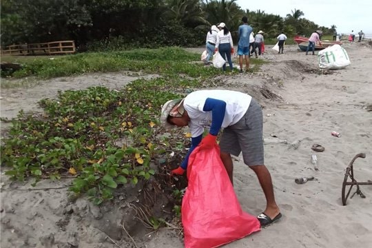 Finaliza proyecto latinoamericano para investigar basura marina en playas y conservar tortugas marinas