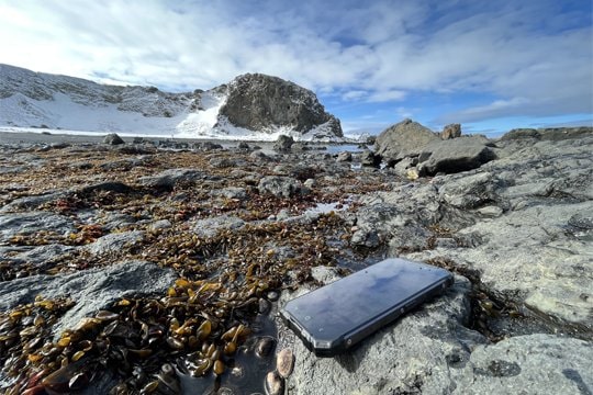 Registran 34°C de temperatura en zonas costeras de la península Antártica