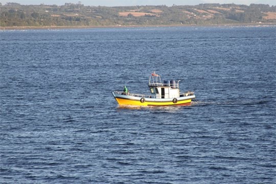 Gobierno de Sebastián Piñera cumplió el 54% de los compromisos en pesca artesanal, acuicultura y desarrollo costero