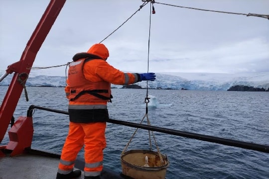 Científicos buscan rescatar datos inéditos del otoño e invierno en Antártica