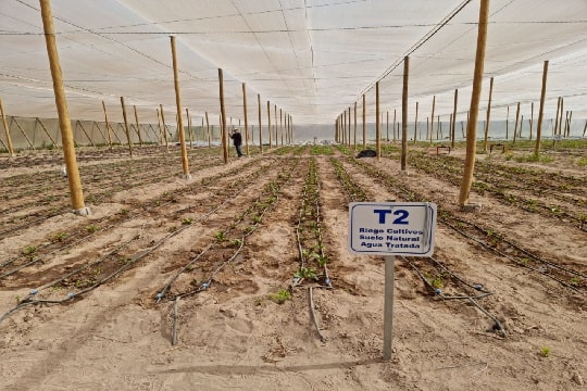 Sector agrícola en Chile: ¿Un cliente inmaduro de la desalinización?