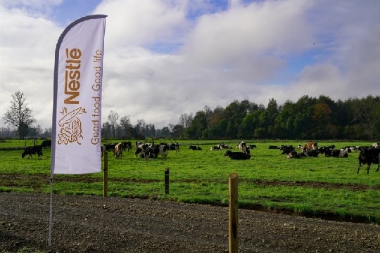 Nestlé y productores lecheros dan a conocer sus avances hacia una agricultura regenerativa