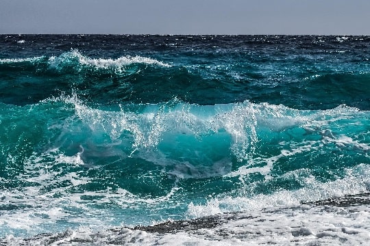 CMP instalará “boyas hidroacústicas” para monitoreo de fauna marina y embarcaciones