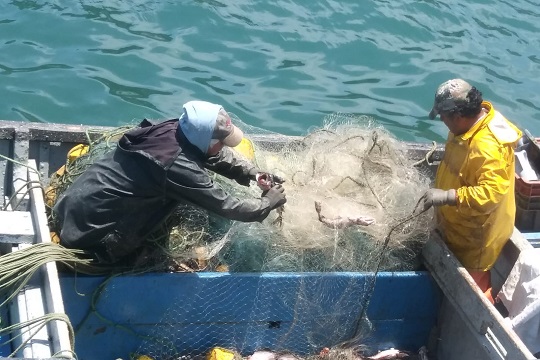 Anualmente en Chile más de 290 toneladas de residuos plásticos de pesca artesanal quedarían en el mar