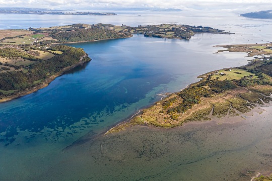 Tres humedales costeros de Chiloé son declarados nuevos Santuarios de la Naturaleza