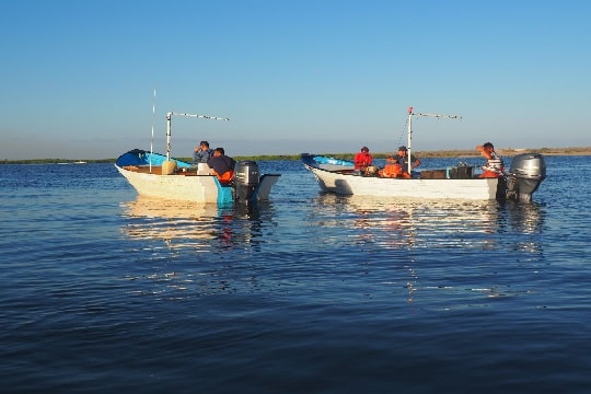 Estudio analiza impacto y beneficios de sistemas de monitoreo en pesca artesanal