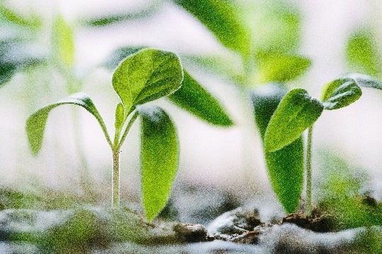 IA, greenwashing y DD.HH: los desafíos de las empresas en sostenibilidad para 2024