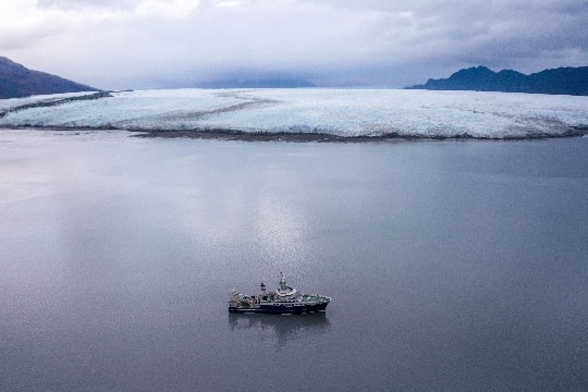 Científicos descubren nueva toxina en los mares de la Patagonia