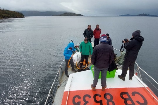 Instalan hidrófono para monitorear ruido submarino en área protegida de Magallanes