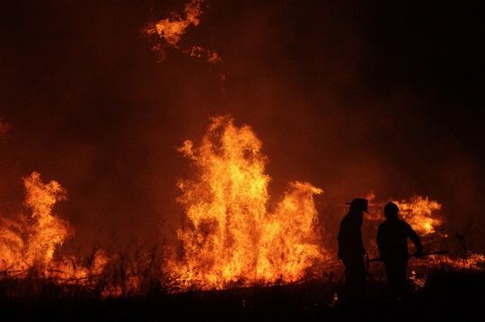 Incendios forestales en Chile y la urgencia de una mejor planificación