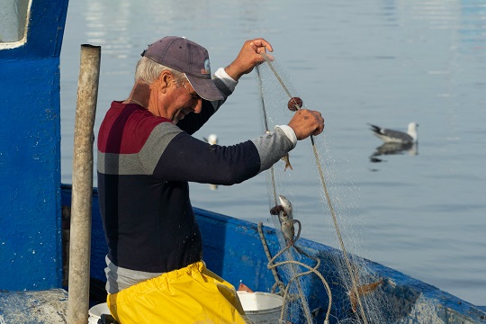 Ley de Pesca: organizaciones ambientales presentan libro con propuestas para nuevo cuerpo legal