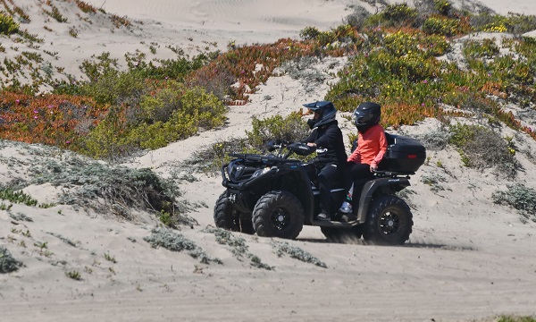 Especialistas en conservación ambiental plantean urgencia de legislar sobre tránsito de vehículos en playas y dunas