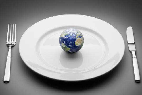 Del plato al planeta: el impacto ambiental del desperdicio de alimentos