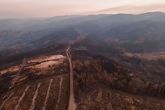 Zonas forestales fueron las más afectadas por incendios durante el verano