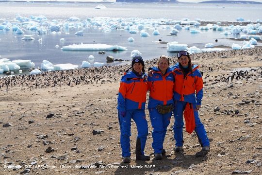 Científicas chilenas estudiarán al pingüino emperador luego de expedición a la Antártica