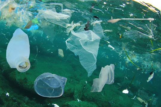 Contaminación por plásticos entre las principales preocupaciones ambientales del país