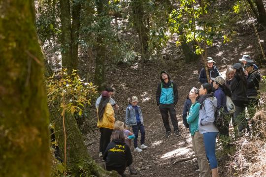 Campus Naturaleza de Universidad de Concepción: 180 hectáreas de conservación y bienestar