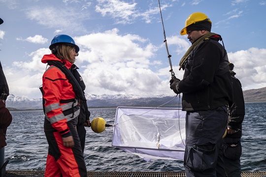 Estudio revela presencia de microfibras de poliéster en aguas de la Patagonia