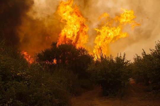 Los factores que explican el aumento de incendios forestales