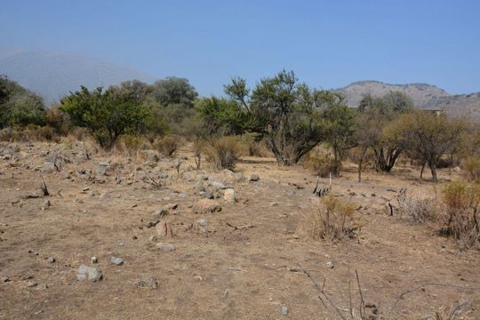 Segundo Tribunal Ambiental respalda decisión de SMA de dar por cumplido plan de retiro de arenas desde el Bosque El Panul