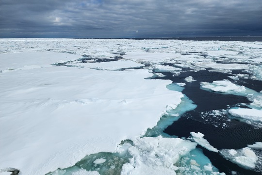 Establecen alianza clave para la observación científica y gestión sostenible de los recursos marinos en la Antártica