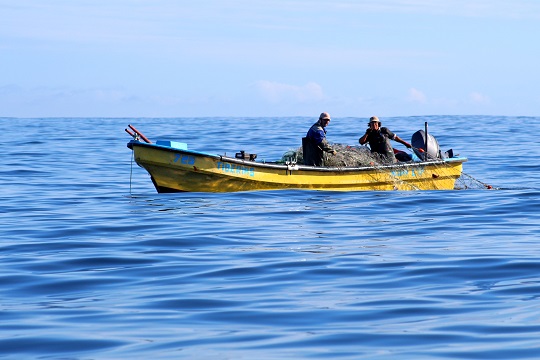 Pesquerías en Chile: la importancia de un enfoque ecosistémico para su gestión sostenible