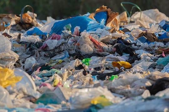 Plásticos de un solo uso: Chile lidera apoyo a su prohibición según encuesta realizada en 32 países