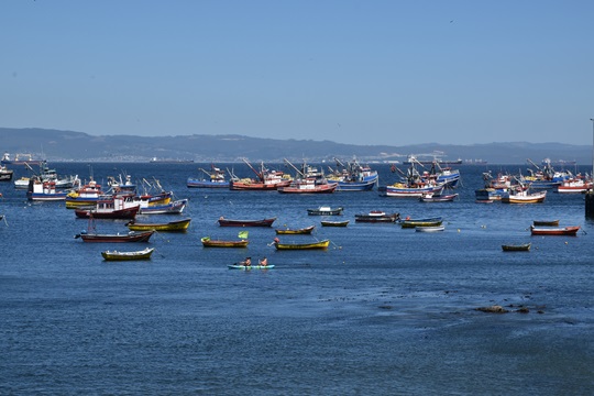 Lanzan primera evaluación de la salud del océano en Chile en 103 comunas costeras