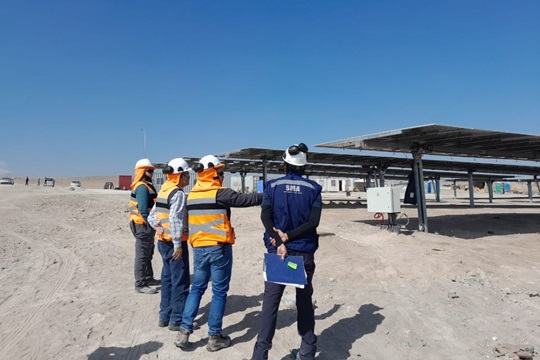Arica: SMA ordena detención de construcción del proyecto fotovoltaico Taruca por afectación a la Golondrina de Mar Negra