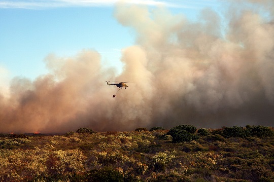 Incendios de febrero aumentan peligro de derrumbes en cerros de Viña del Mar