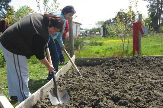 Fondo de Protección Ambiental: Ministerio del Medio Ambiente invita a la ciudadanía a postular proyectos que cuiden sus entornos