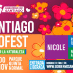 Banner-CodexVerde-334×226-02