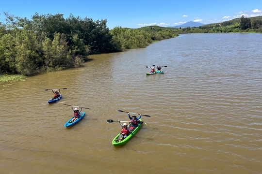 Imagen de WhatsApp 2025-11-25 a las 13.51.21_ee80dbee