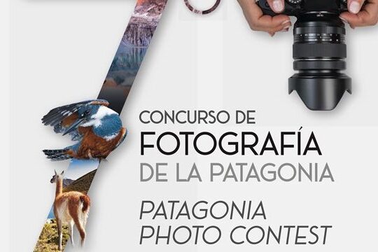 Afiche_7_Concurso_logo