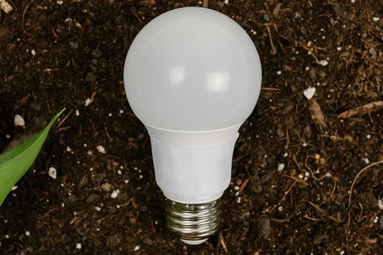 pexels-tara-winstead-7111141