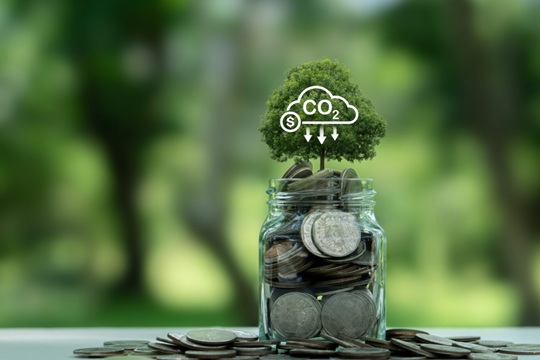 Mercado de compensación de emisiones se consolida: más regiones y nuevos tipos de proyectos marcan 2025