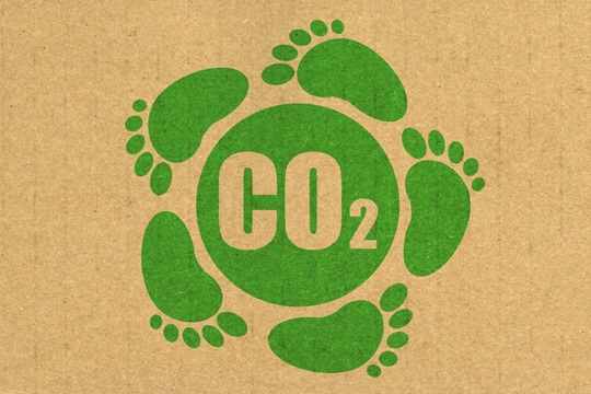 CARBONO NEUTRALIDAD